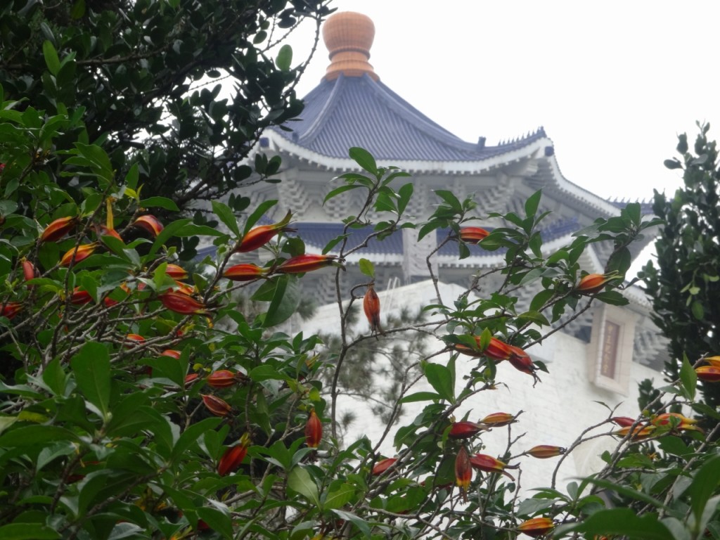 2-4台湾　台北　中正紀念堂とクチナシの実